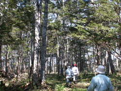 環境を守り 資源を涵養